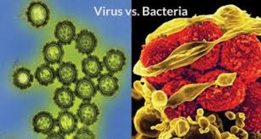 Radang Tenggorokan Karena Virus VS Bakteri